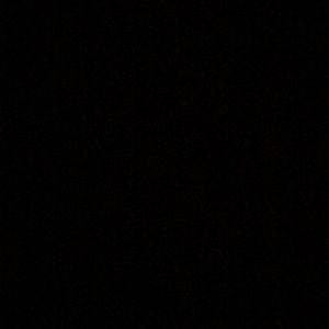 Meet your Posher, Damaris